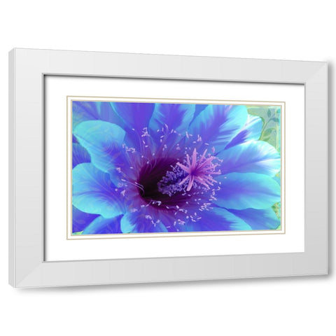 Paradisum White Modern Wood Framed Art Print with Double Matting by Lavoie, Tina