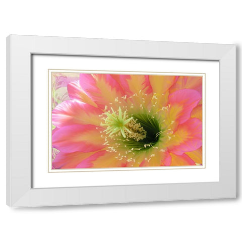 Paradisum II White Modern Wood Framed Art Print with Double Matting by Lavoie, Tina