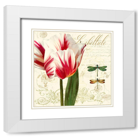 Natural History Sketchbook I White Modern Wood Framed Art Print with Double Matting by Lavoie, Tina