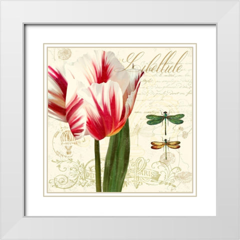 Natural History Sketchbook I White Modern Wood Framed Art Print with Double Matting by Lavoie, Tina