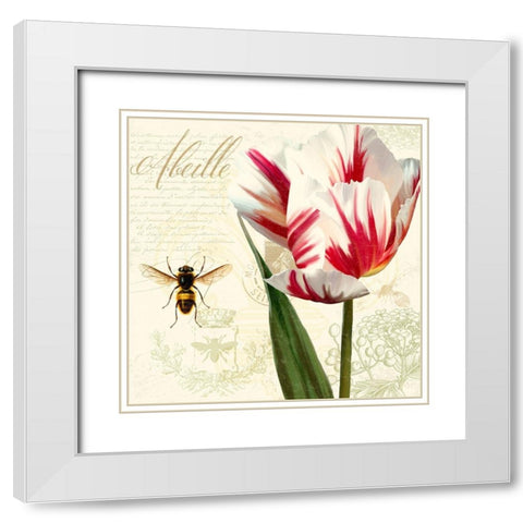 Natural History Sketchbook II White Modern Wood Framed Art Print with Double Matting by Lavoie, Tina