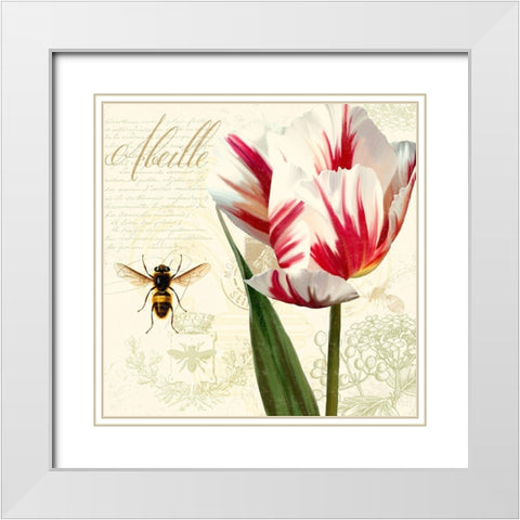 Natural History Sketchbook II White Modern Wood Framed Art Print with Double Matting by Lavoie, Tina