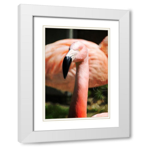 Pink Flamingo II White Modern Wood Framed Art Print with Double Matting by Lavoie, Tina