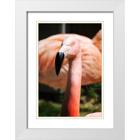 Pink Flamingo II White Modern Wood Framed Art Print with Double Matting by Lavoie, Tina