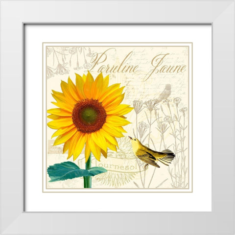 Natural History Sketchbook IV White Modern Wood Framed Art Print with Double Matting by Lavoie, Tina