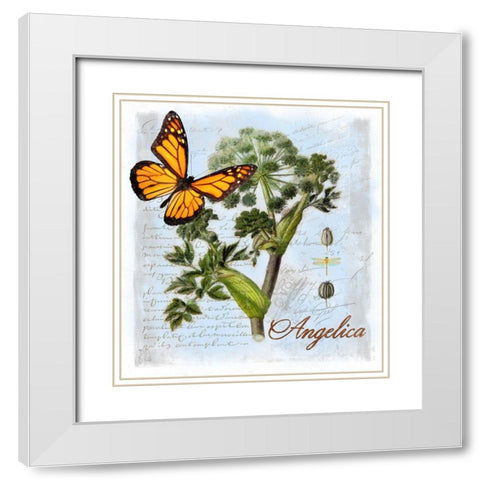 Angelica Herb White Modern Wood Framed Art Print with Double Matting by Lavoie, Tina