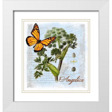 Angelica Herb White Modern Wood Framed Art Print with Double Matting by Lavoie, Tina