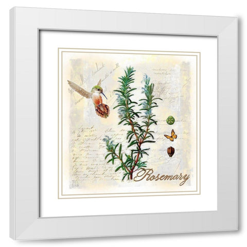 Rosemary Herb White Modern Wood Framed Art Print with Double Matting by Lavoie, Tina