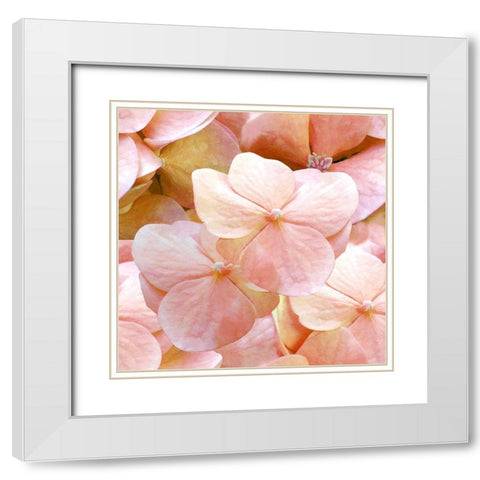 Innocence Pattern White Modern Wood Framed Art Print with Double Matting by Lavoie, Tina