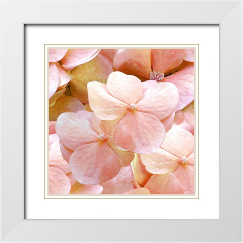 Innocence Pattern White Modern Wood Framed Art Print with Double Matting by Lavoie, Tina