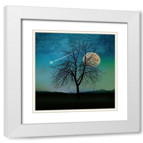 Solitude White Modern Wood Framed Art Print with Double Matting by Lavoie, Tina