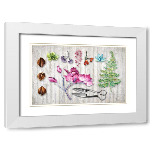 BotanicaII White Modern Wood Framed Art Print with Double Matting by Lavoie, Tina