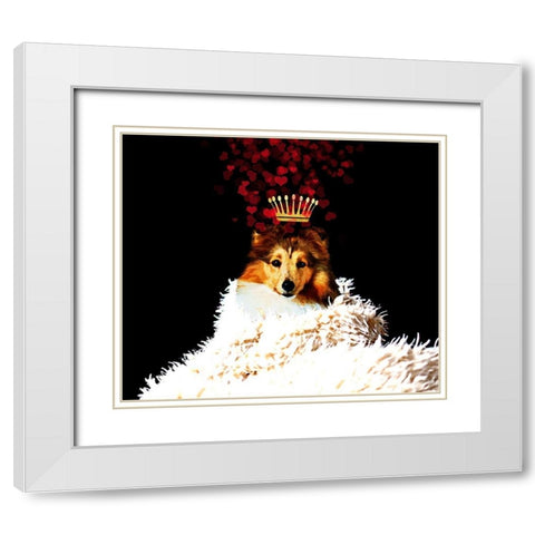 Royal Love Pup - Sheltie White Modern Wood Framed Art Print with Double Matting by Lavoie, Tina