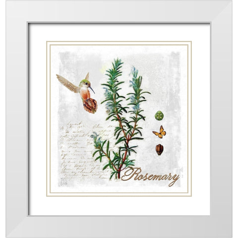 Botanical Garden Rosemary Herb White Modern Wood Framed Art Print with Double Matting by Lavoie, Tina