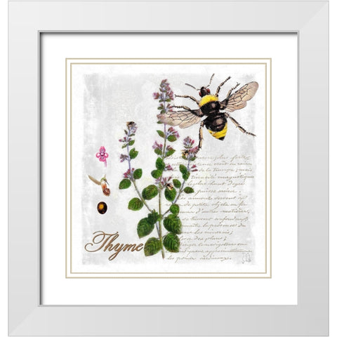 Botanical Garden Thyme Herb White Modern Wood Framed Art Print with Double Matting by Lavoie, Tina