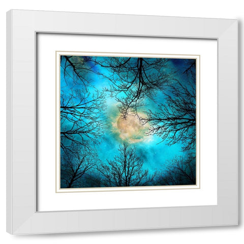 evening White Modern Wood Framed Art Print with Double Matting by Lavoie, Tina