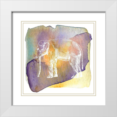 Color Spot Safari Animals elephant White Modern Wood Framed Art Print with Double Matting by Lavoie, Tina