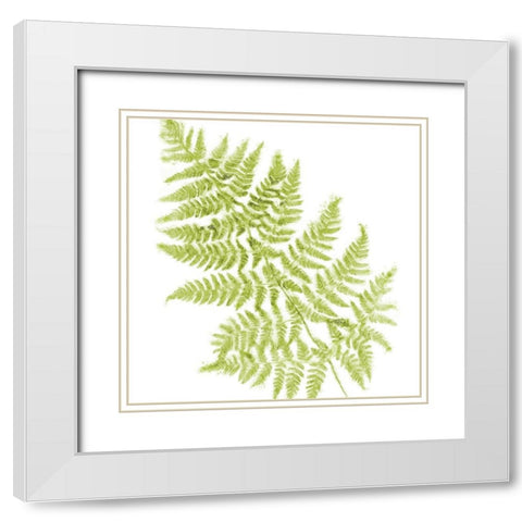 Fresh White Modern Wood Framed Art Print with Double Matting by Lavoie, Tina