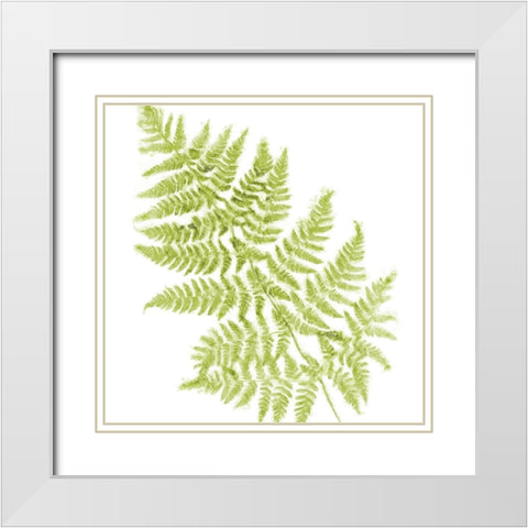 Fresh White Modern Wood Framed Art Print with Double Matting by Lavoie, Tina