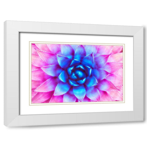 Agave Sunset White Modern Wood Framed Art Print with Double Matting by Lavoie, Tina