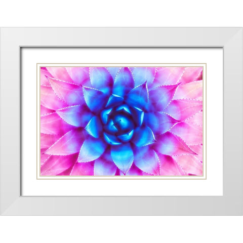 Agave Sunset White Modern Wood Framed Art Print with Double Matting by Lavoie, Tina