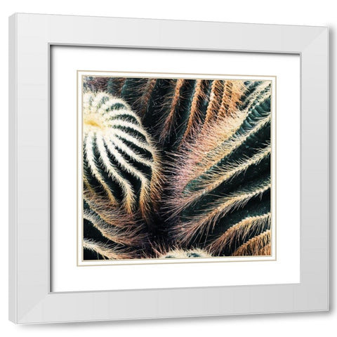 Cactus White Modern Wood Framed Art Print with Double Matting by Lavoie, Tina