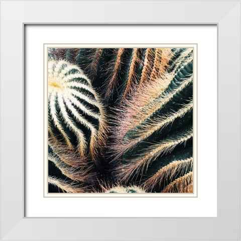 Cactus White Modern Wood Framed Art Print with Double Matting by Lavoie, Tina