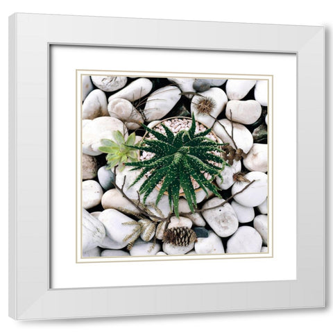 Succulent Summer White Modern Wood Framed Art Print with Double Matting by Lavoie, Tina