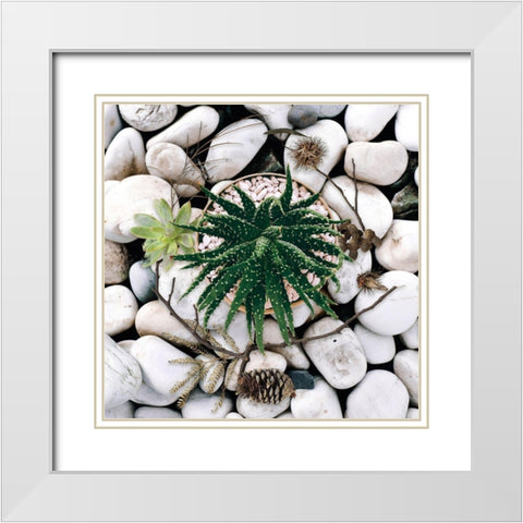 Succulent Summer White Modern Wood Framed Art Print with Double Matting by Lavoie, Tina