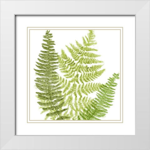 Fresh II White Modern Wood Framed Art Print with Double Matting by Lavoie, Tina