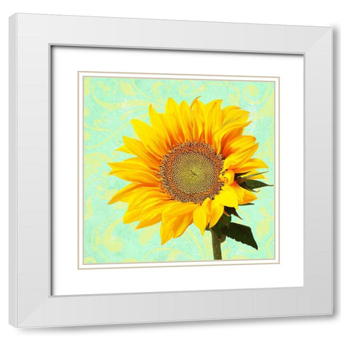Summer Sunflower White Modern Wood Framed Art Print with Double Matting by Lavoie, Tina
