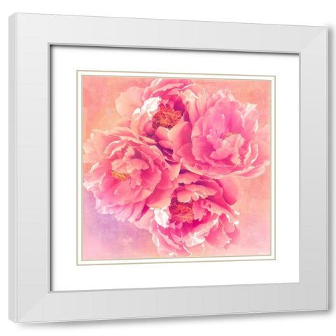 Peony Garden White Modern Wood Framed Art Print with Double Matting by Lavoie, Tina