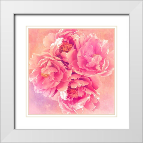 Peony Garden White Modern Wood Framed Art Print with Double Matting by Lavoie, Tina