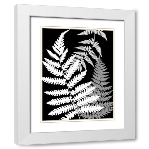 Tropics In Black And White IV White Modern Wood Framed Art Print with Double Matting by Lavoie, Tina