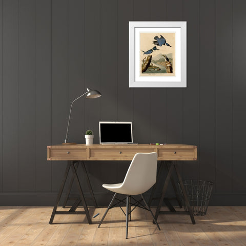 Belted Kingfisher White Modern Wood Framed Art Print with Double Matting by Vintage Apple Collection