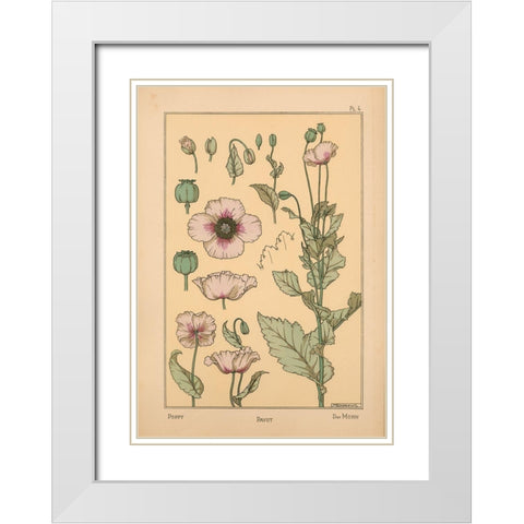 Plate 04 - Poppy White Modern Wood Framed Art Print with Double Matting by Vintage Apple Collection