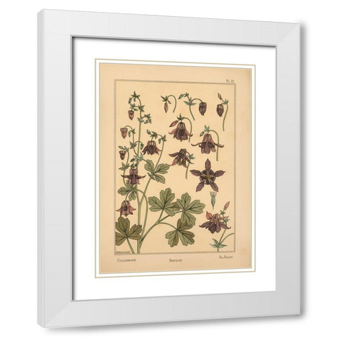 Plate 10 - Columbine White Modern Wood Framed Art Print with Double Matting by Vintage Apple Collection