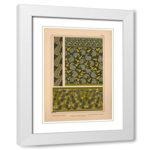 Plate 36 - Solomons Seal White Modern Wood Framed Art Print with Double Matting by Vintage Apple Collection