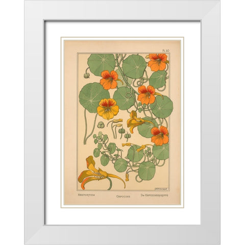 Plate 40 - Nasturtium White Modern Wood Framed Art Print with Double Matting by Vintage Apple Collection