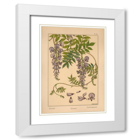 Plate 46 - Glycine White Modern Wood Framed Art Print with Double Matting by Vintage Apple Collection