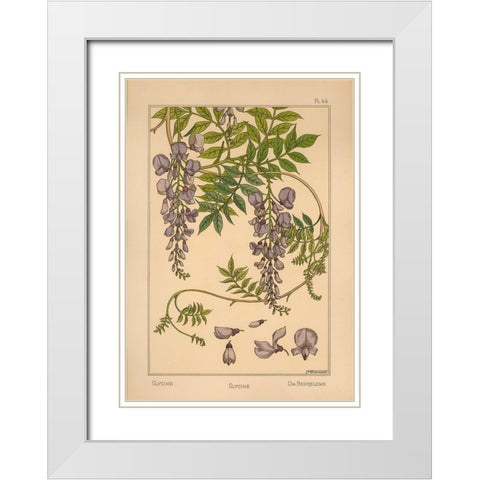 Plate 46 - Glycine White Modern Wood Framed Art Print with Double Matting by Vintage Apple Collection