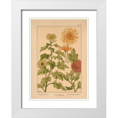 Plate 70 - Chrysanthemum White Modern Wood Framed Art Print with Double Matting by Vintage Apple Collection