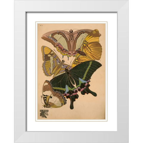 Plate 8 - Papillons White Modern Wood Framed Art Print with Double Matting by Vintage Apple Collection