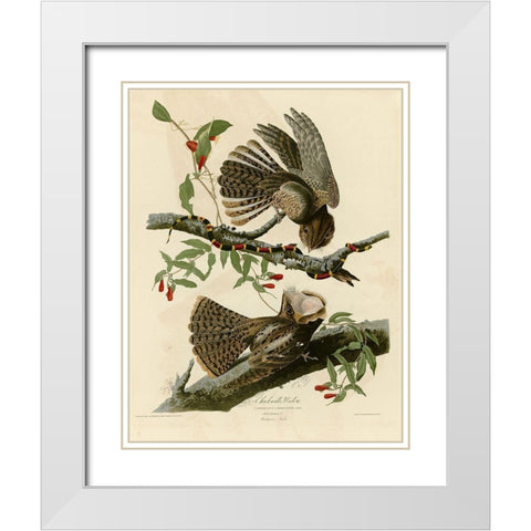 Chuck Wills Widow White Modern Wood Framed Art Print with Double Matting by Vintage Apple Collection