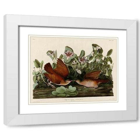 Key West Dove White Modern Wood Framed Art Print with Double Matting by Vintage Apple Collection