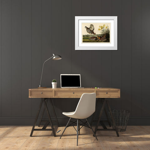 Pinnated Grouse White Modern Wood Framed Art Print with Double Matting by Vintage Apple Collection