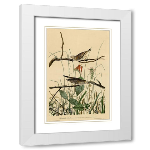 Savannah Finch White Modern Wood Framed Art Print with Double Matting by Vintage Apple Collection