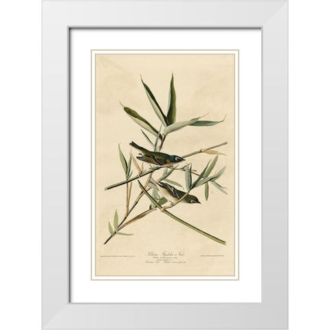 Solitary Flycatcher White Modern Wood Framed Art Print with Double Matting by Vintage Apple Collection