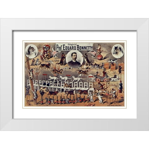 French Cats White Modern Wood Framed Art Print with Double Matting by Vintage Apple Collection