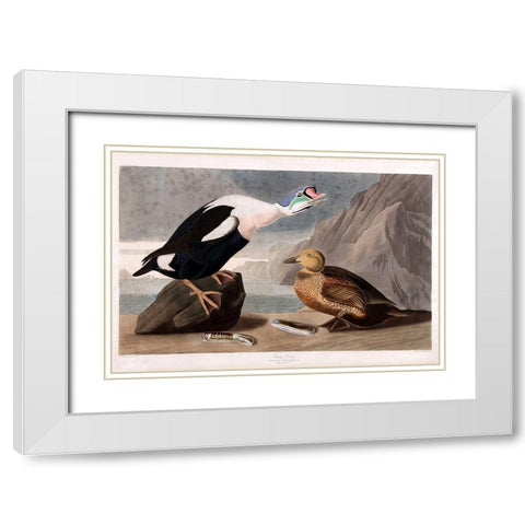 King Duck White Modern Wood Framed Art Print with Double Matting by Vintage Apple Collection
